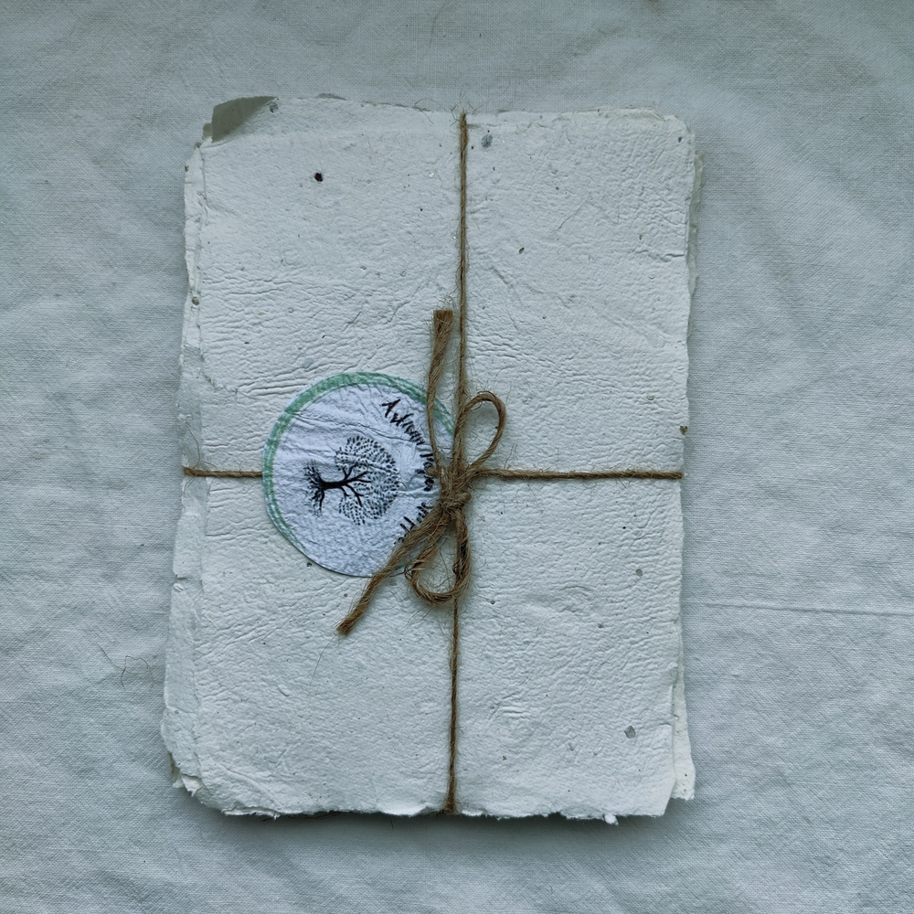 Wildflower Seed Paper
